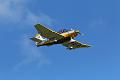 T-20150514-160434_IMG_0471-7