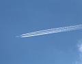T-20150514-161723_IMG_0630-7a