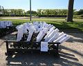 T-20150515-122244_IMG_9593-6aa