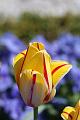 T-20150515-124651_IMG_1292-7