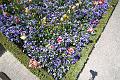 T-20150515-130717_IMG_1366-7