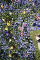 T-20150515-130728_IMG_1368-7