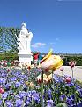 T-20150515-130801_IMG_1374-7a