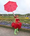 T-20150516-202114_IMG_0323-6a