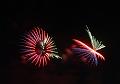 T-20150516-221236_IMG_0866-6a