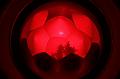 T-20150612-172309_IMG_6712-F