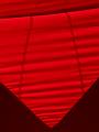 T-20150612-172405_IMG_7785-7a