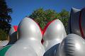 T-20150612-181519_IMG_8951-6