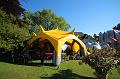 T-20150612-182409_IMG_8976-6