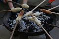 T-20150613-191006_IMG_9796-7
