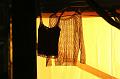 T-20150613-235746_IMG_0023-7