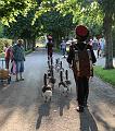 T-20150706-192648_IMG_8796-6a