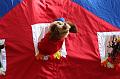 T-20150730-183137_IMG_6827-7