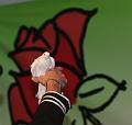 T-20150730-210253_IMG_7814-7a