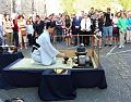 T-20150806-082752_P1020520-8a