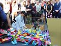 T-20150806-083226_P1020654-8