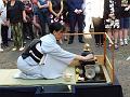 T-20150806-083406_P1020722-8
