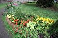 T-20150819-133054_IMG_0080-6