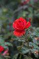T-20150819-153337_IMG_3396-7