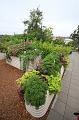 T-20150819-153638_IMG_0091-6