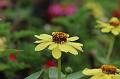 T-20150819-153808_IMG_3405-7