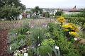 T-20150819-154122_IMG_0095-6
