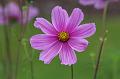 T-20150819-160443_IMG_3478-7