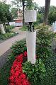 T-20150819-161814_IMG_0140-6