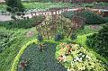 T-20150819-163110_IMG_0175-6