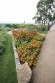 T-20150819-164344_IMG_0187-6