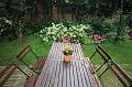 T-20150819-171716_IMG_0205-6