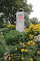 T-20150819-174100_IMG_0225-6