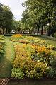 T-20150819-175128_IMG_0246-6