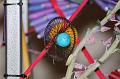 T-20150819-182945_IMG_3821-7