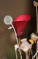 T-20150819-183836_IMG_3844-7