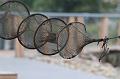 T-20150819-185421_IMG_3860-7