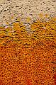 T-20150820-152750_IMG_4056-7