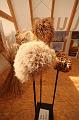 T-20150820-153028_IMG_0529-6-c