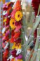 T-20150820-153536_IMG_4083-7