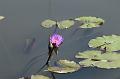 T-20150822-115004_IMG_0844-6