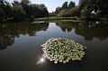 T-20150822-115216_IMG_4817-7