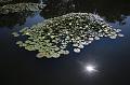 T-20150822-115332_IMG_4822-7