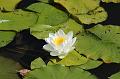 T-20150822-115358_IMG_0869-6