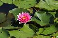 T-20150822-115609_IMG_0882-6