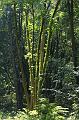 T-20150822-122816_IMG_0965-6