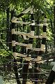 T-20150822-124045_IMG_0984-6