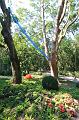 T-20150822-124748_IMG_4911-7