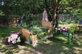 T-20150822-140150_IMG_4959-7