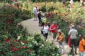 T-20150822-140727_IMG_1066-6