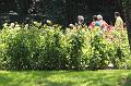 T-20150822-141027_IMG_1069-6